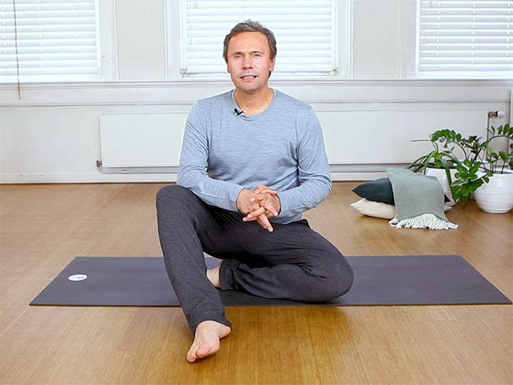 1.online yin yoga opleiding johan noorloos