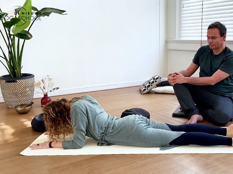 yin yoga opleiding online johan noorloos