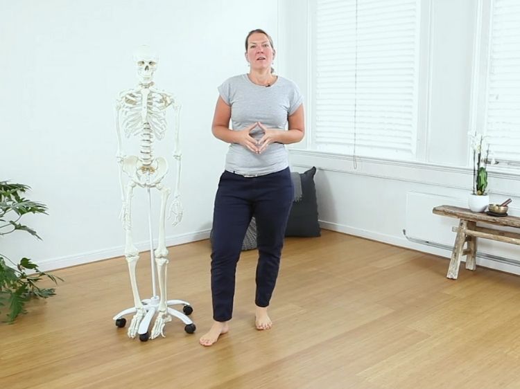 zwangerschap anatomie online yin yoga opleiding Johan Noorloos