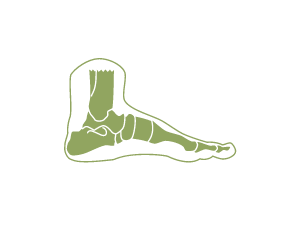 2DNYS-Online-yin-yoga-opleiding-symbool - anatomie