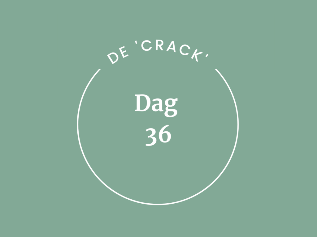 DNYS-Online-40-daagse-sijbrand-maal