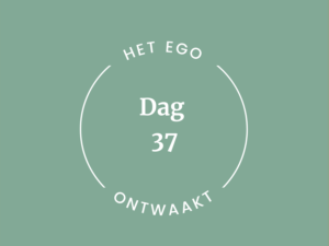 DNYS-Online-40-daagse-sijbrand-maal-meditation