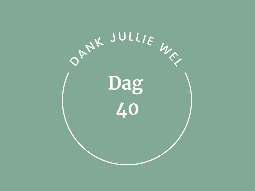 DNYS-Online-40-daagse-sijbrand-maal-meditation
