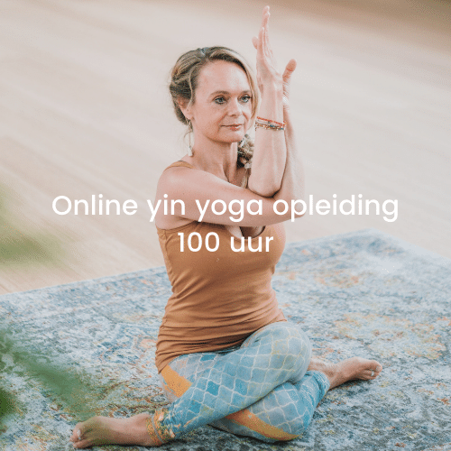 Online yin yoga opleiding