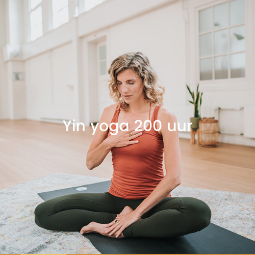 yin yoga opleididng 200 uur