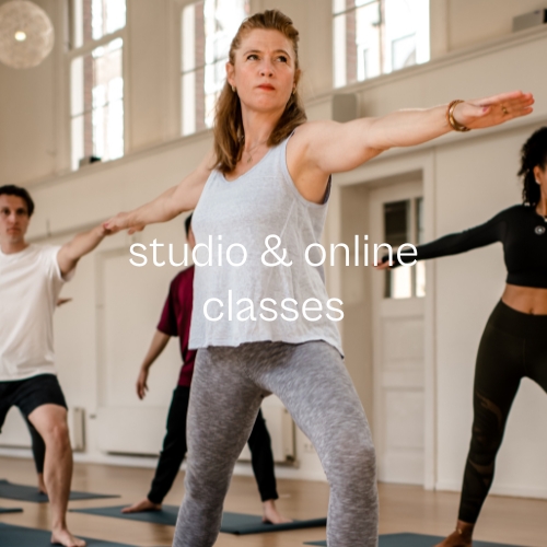 Studio and online classes De Nieuwe Yogaschool Amsterdam